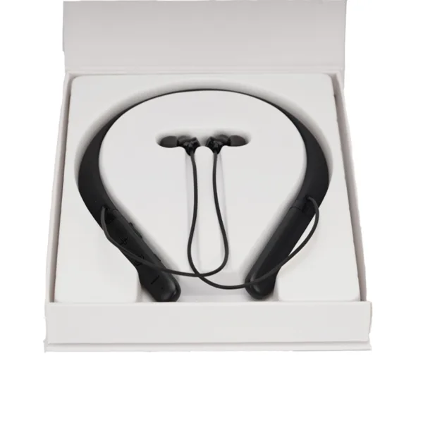Hang on ear Hearing Aids
